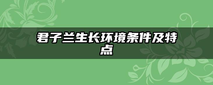 君子兰生长环境条件及特点
