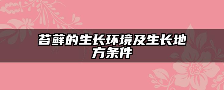 苔藓的生长环境及生长地方条件