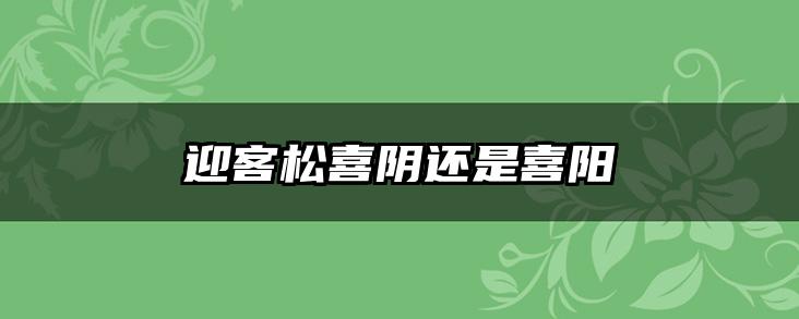 迎客松喜阴还是喜阳
