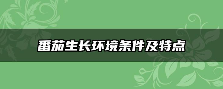 番茄生长环境条件及特点