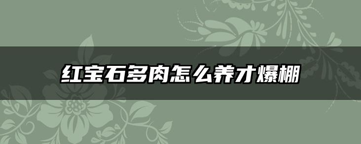 红宝石多肉怎么养才爆棚