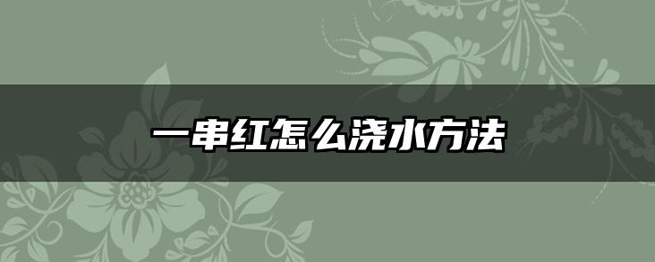 一串红怎么浇水方法