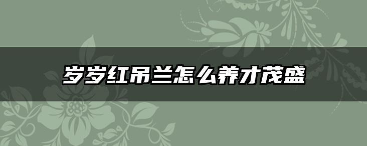 岁岁红吊兰怎么养才茂盛