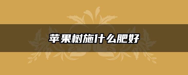 苹果树施什么肥好