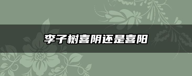 李子树喜阴还是喜阳