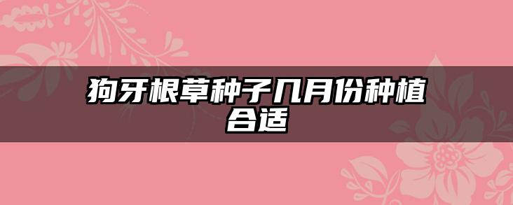 狗牙根草种子几月份种植合适
