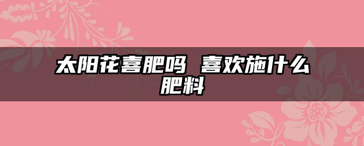 太阳花喜肥吗 喜欢施什么肥料