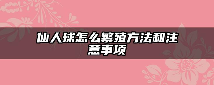 仙人球怎么繁殖方法和注意事项