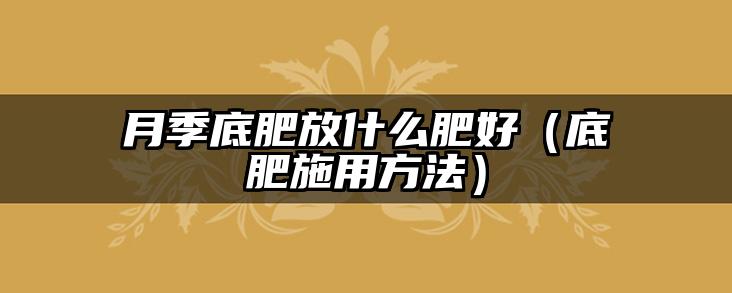 月季底肥放什么肥好(底肥施用方法)