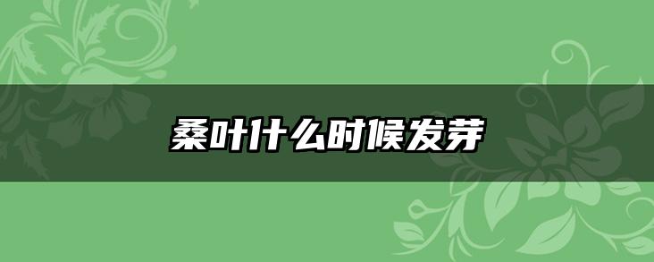 桑叶什么时候发芽