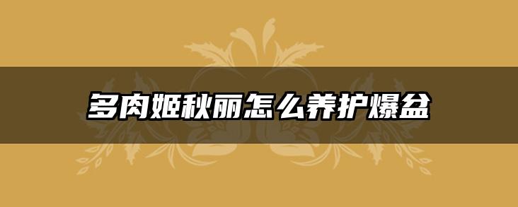 多肉姬秋丽怎么养护爆盆