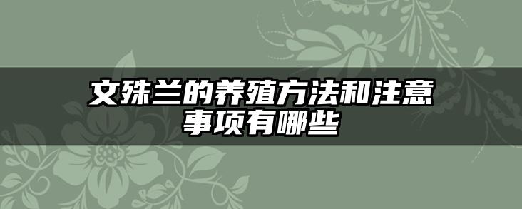 文殊兰的养殖方法和注意事项有哪些
