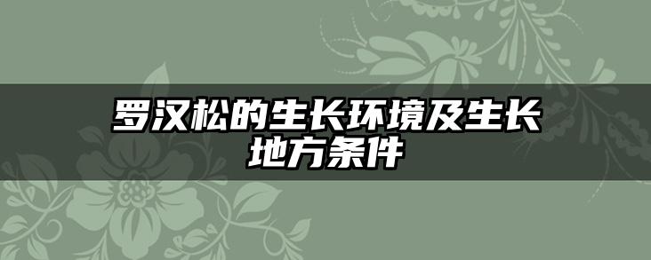 罗汉松的生长环境及生长地方条件