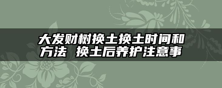 大发财树换土换土时间和方法 换土后养护注意事