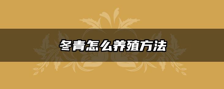 冬青怎么养殖方法