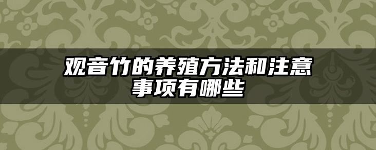 观音竹的养殖方法和注意事项有哪些