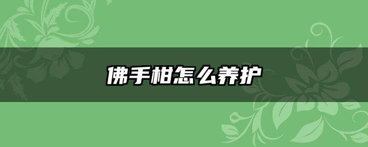 佛手柑怎么养护