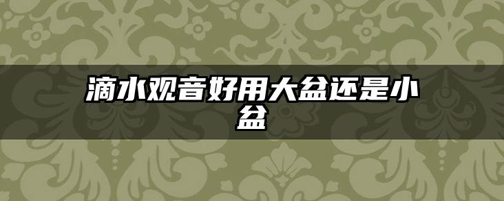 滴水观音好用大盆还是小盆