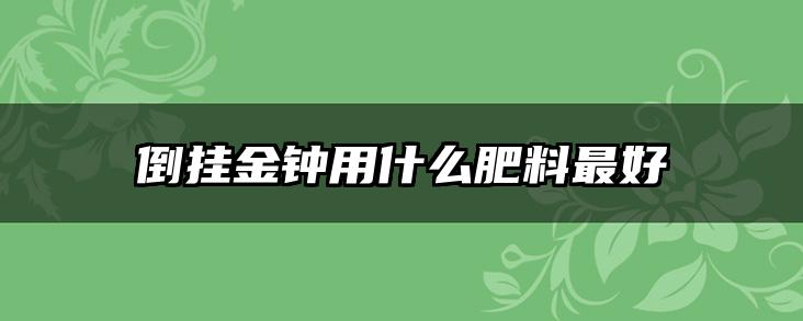 倒挂金钟用什么肥料最好