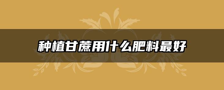 种植甘蔗用什么肥料最好