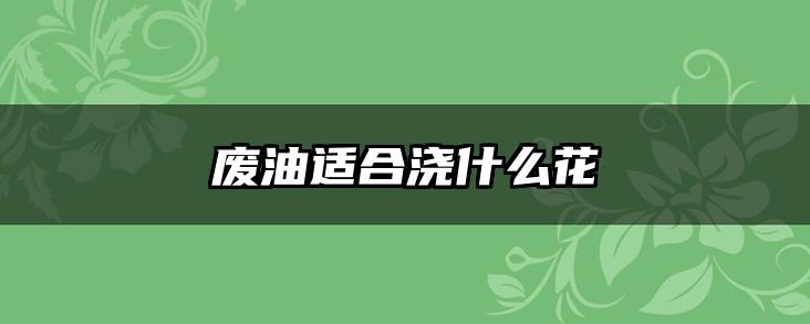 废油适合浇什么花