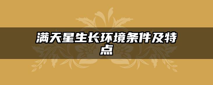 满天星生长环境条件及特点