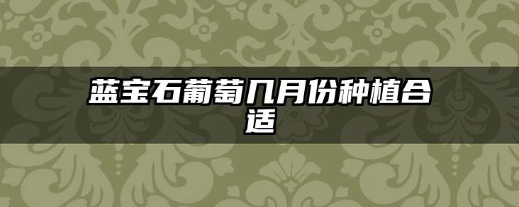 蓝宝石葡萄几月份种植合适