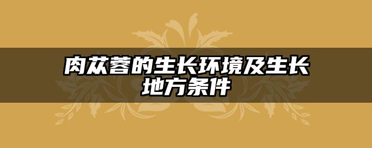肉苁蓉的生长环境及生长地方条件