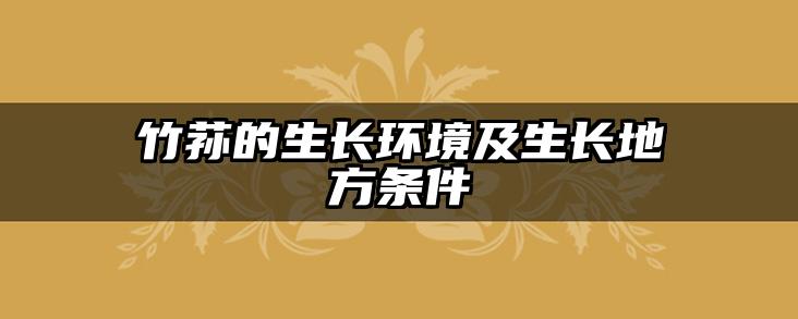 竹荪的生长环境及生长地方条件