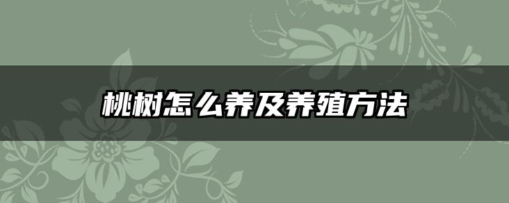 桃树怎么养及养殖方法