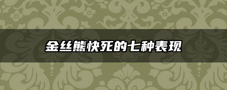 金丝熊快死的七种表现