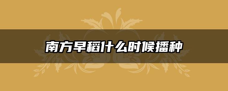 南方早稻什么时候播种