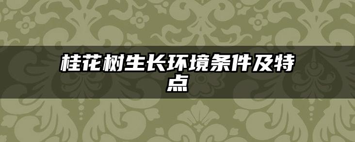 桂花树生长环境条件及特点