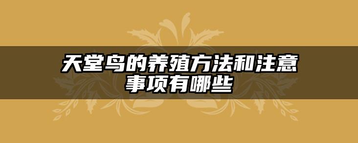 天堂鸟的养殖方法和注意事项有哪些