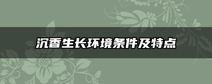 沉香生长环境条件及特点