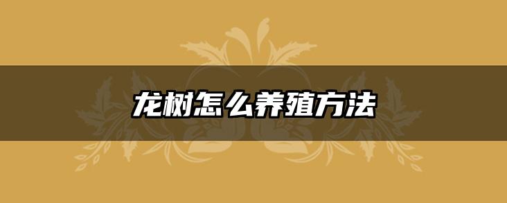 龙树怎么养殖方法
