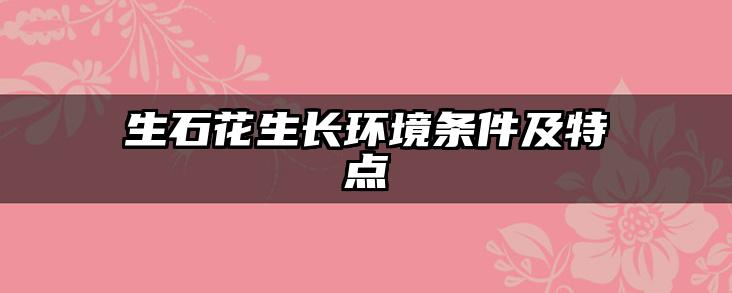 生石花生长环境条件及特点