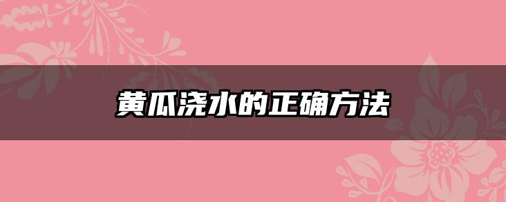 黄瓜浇水的正确方法