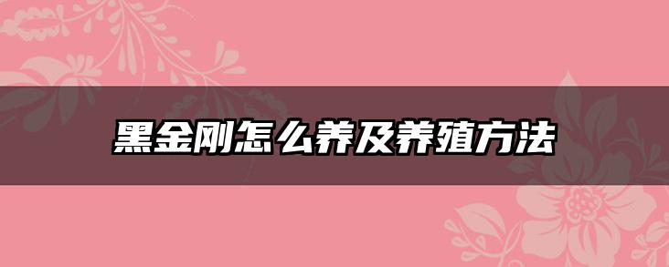 黑金刚怎么养及养殖方法