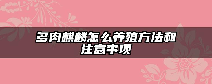 多肉麒麟怎么养殖方法和注意事项