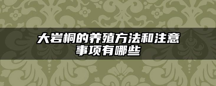 大岩桐的养殖方法和注意事项有哪些