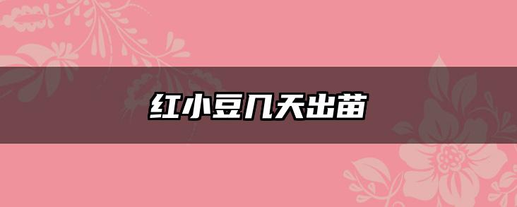 红小豆几天出苗