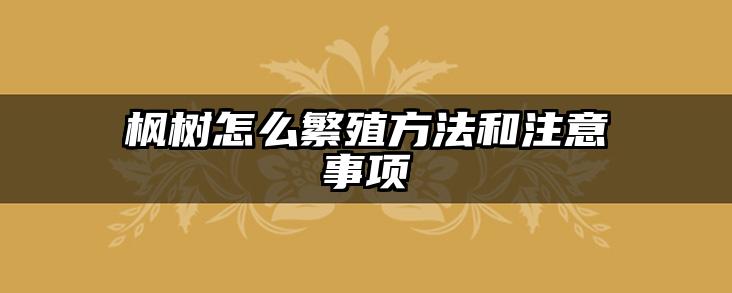 枫树怎么繁殖方法和注意事项
