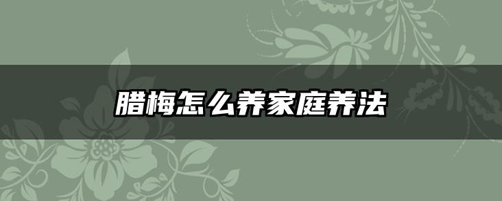 腊梅怎么养家庭养法