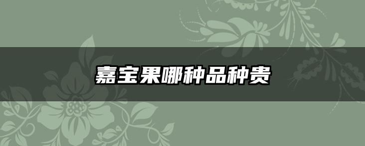 嘉宝果哪种品种贵
