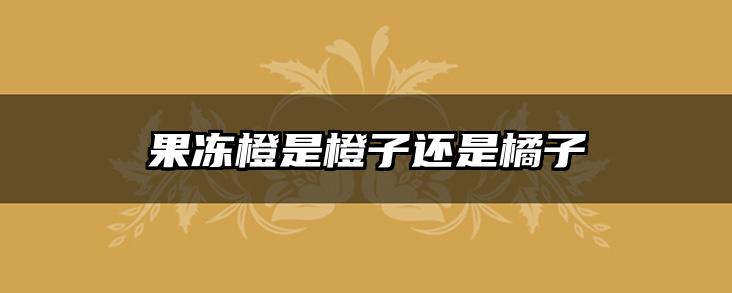 果冻橙是橙子还是橘子