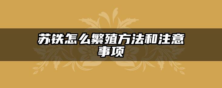 苏铁怎么繁殖方法和注意事项