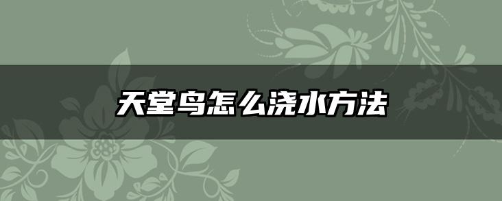 天堂鸟怎么浇水方法