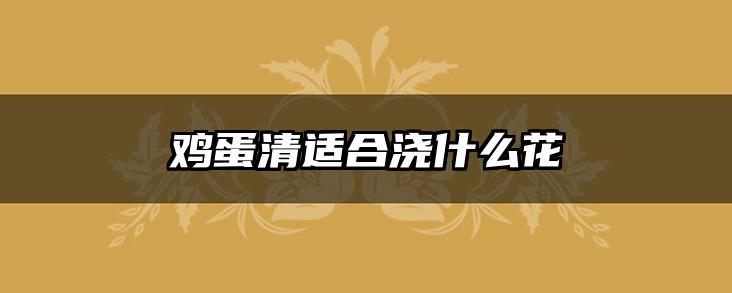 鸡蛋清适合浇什么花