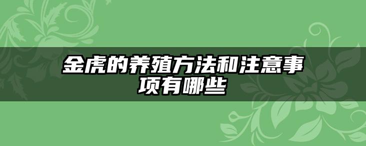 金虎的养殖方法和注意事项有哪些